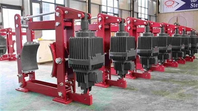 Frein de grue industrielle YWZ4